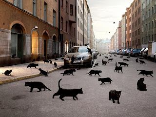 Black Cats in The Street wallpaper