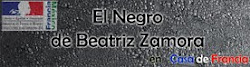 El Negro de Beatriz Zamora