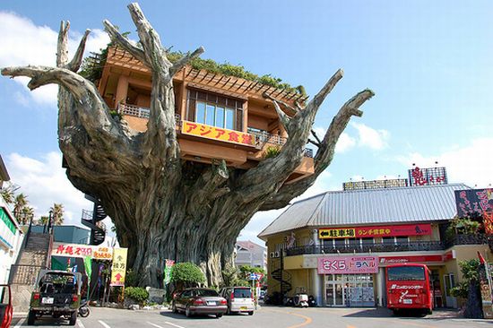 [treehouse-restaurant_58.jpg]