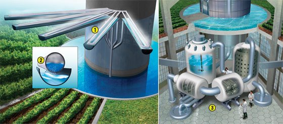 [skyfarming070409_5_560.jpg]