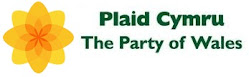 Plaid Cymru new site for May Elections!