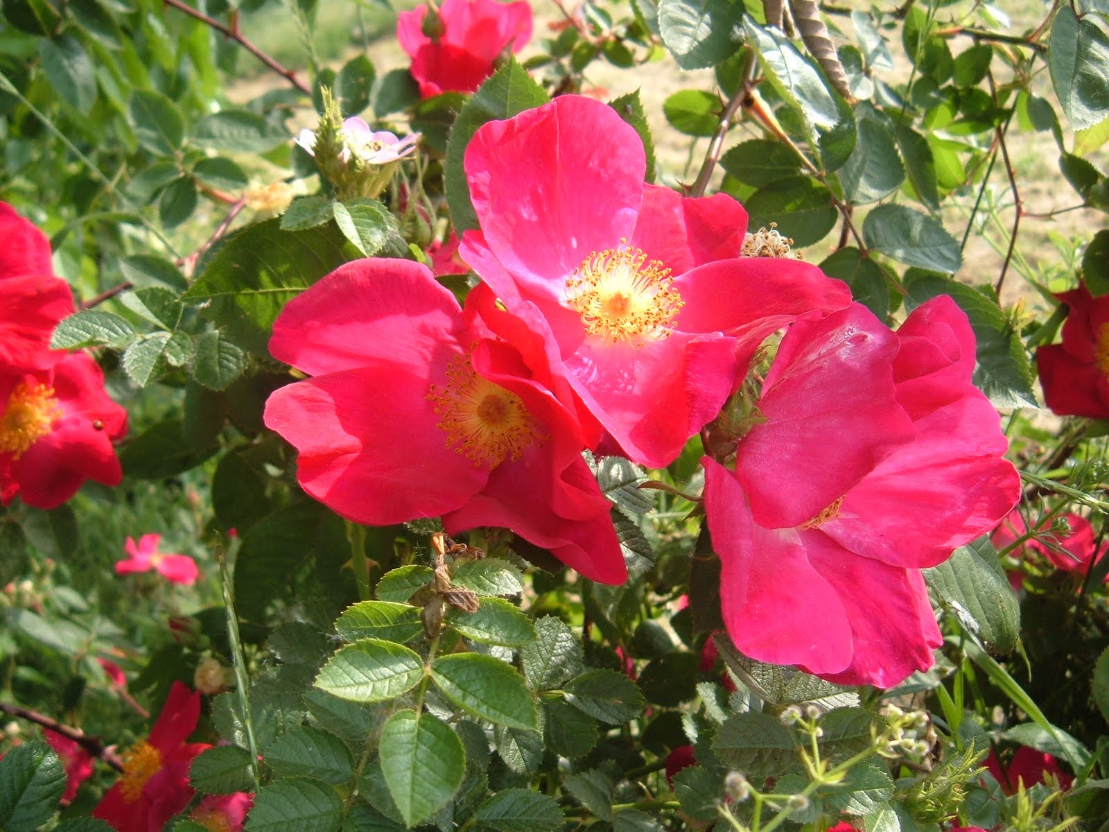 [DSCF0047.JPG]