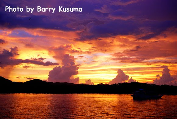 BlogQ Indahnya Pulau Komodo, New 7 Wonders of Nature.