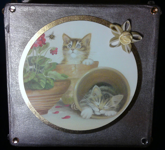 [MAWTT#17BoxTop.jpg]