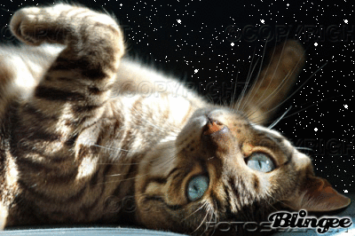 Frost That Dapples Pebble