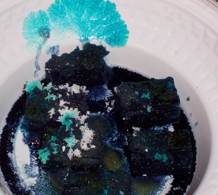 Home Chemistry How does your crystal garden grow?