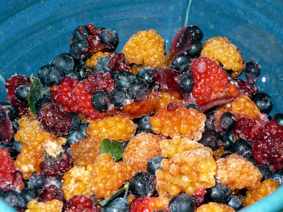 [Berries.JPG]