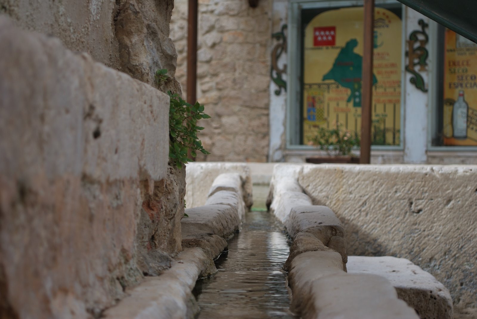 [DSC_0047.JPG]