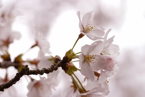 [444806587_6ac2fb20e4.jpg]