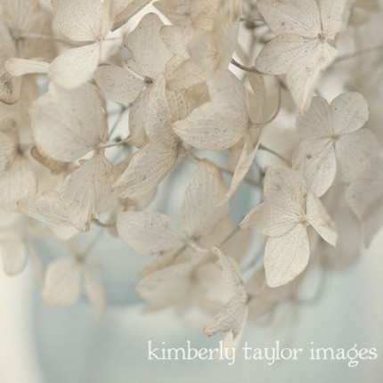 [il_430xN.129455086.jpg]