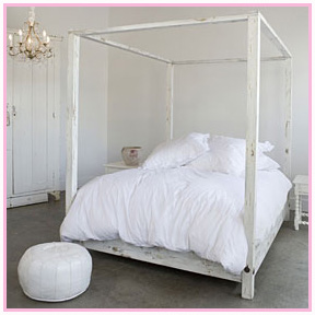 [1509_white_l_p.jpg]