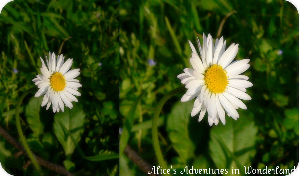 [Collage+di+Picnik.jpg]