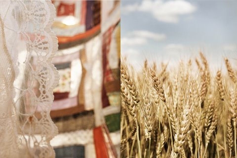 [3354159790_0d384a8806_b_large.jpg]