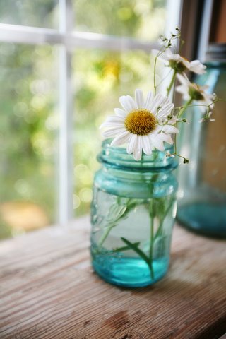 [1021298561_38c6be9df6_b_large.jpg]