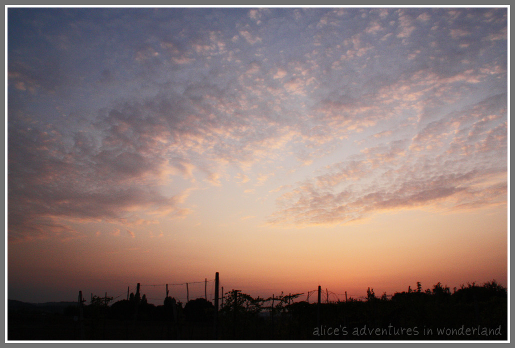 [IMG_1026.jpg]