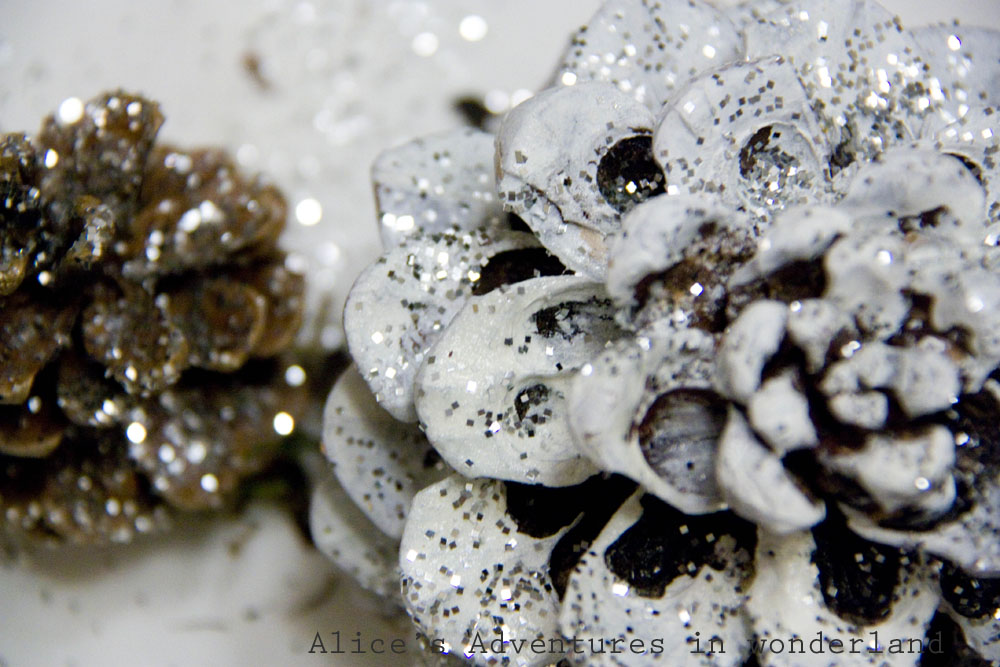 [IMG_3767+copy.jpg]