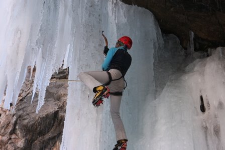 [IMG_5288.jpg]