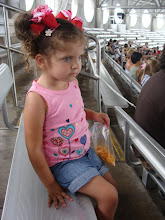 Sea World Orlando