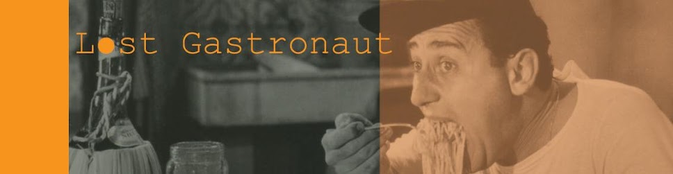 Lost Gastronaut