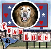 Go Team Luke!