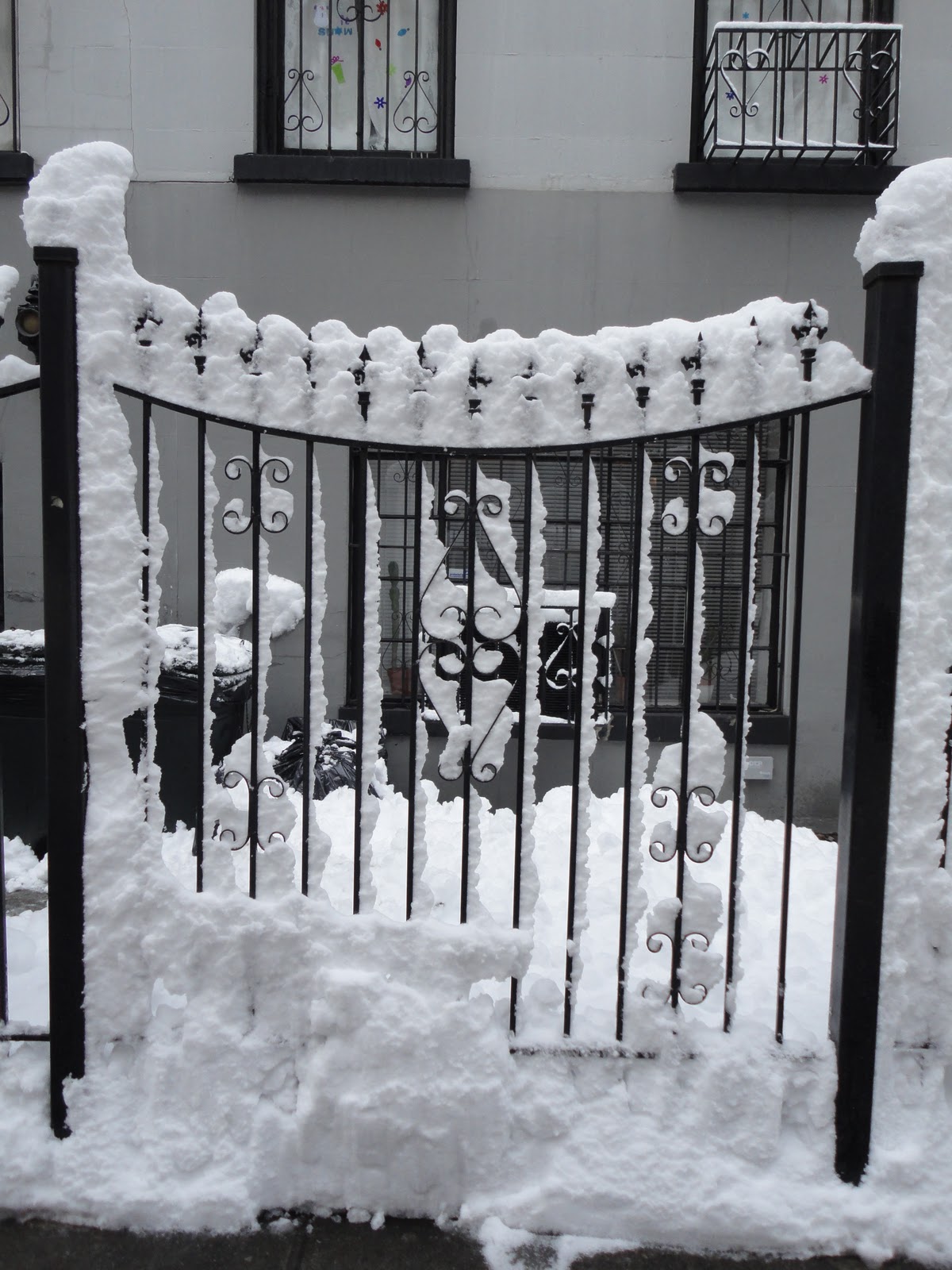 Snow Cap Weed: The Unexpected White Powder Problem