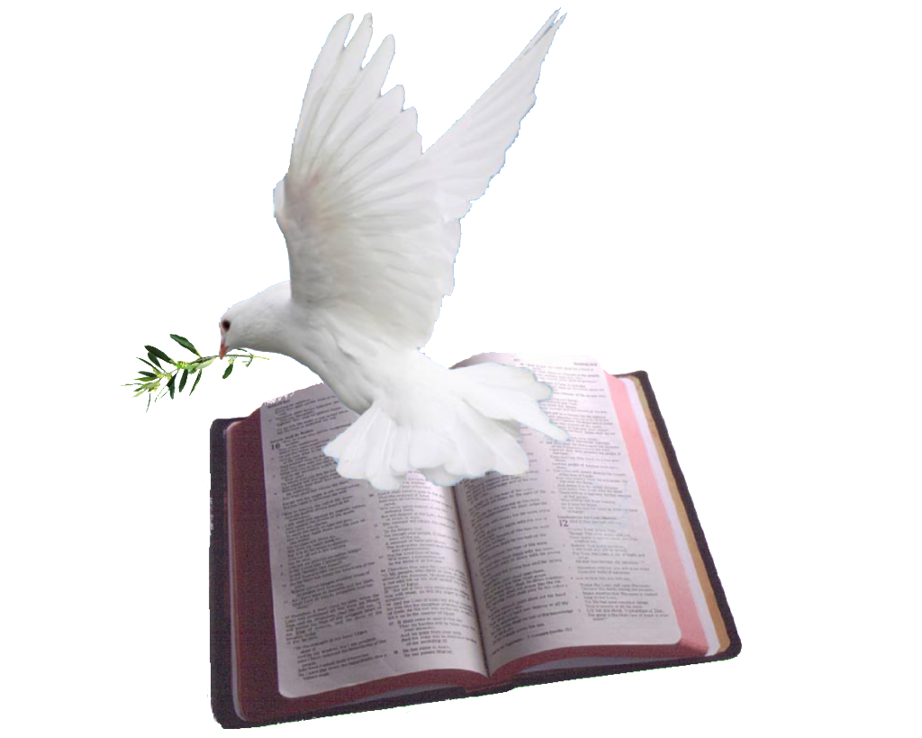белый голубь книга. голубь и библия. белый голубь книга. книга легенд. обложка dove.