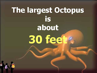 3-STUDENTS: Octopus has THREE HEARTS!!!