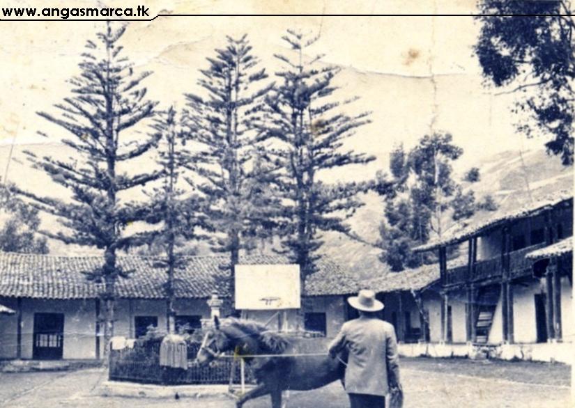 Un empleado de la Hacienda amansando un caballo - 1960 Aprox.