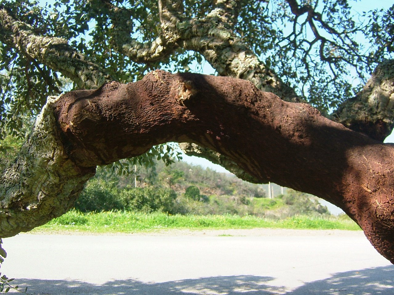 [21++Fev+09+011.jpg]