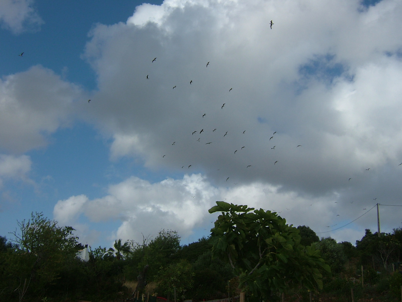 [slide0017_image046.jpg]