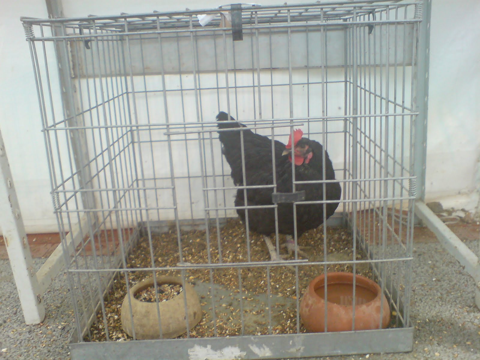 [beja+Out+09+006.jpg]