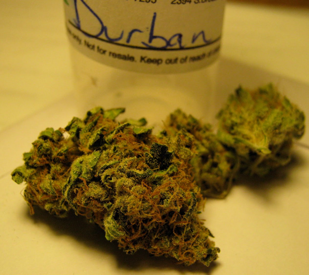 Durban Poison Medical Marijuana Strain Review