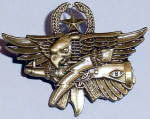 Master Tactical Operator Badge