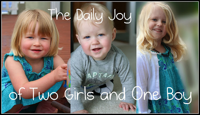 The Daily Joy of Two Girls and One Boy