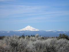 MT HOOD - Picture taken from the eastside of the mountain on the Warm Springs Reservation.