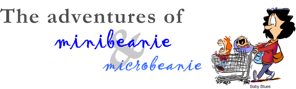 The Adventures of minibeanie and microbeanie
