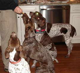 That's me getting a treat - YUM!