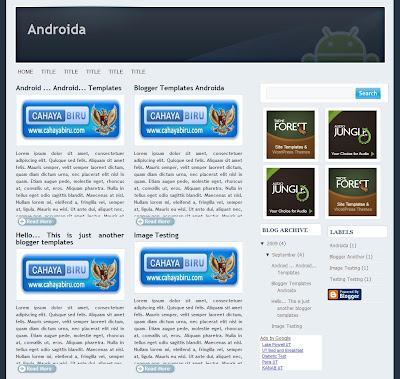 Androida blogger template