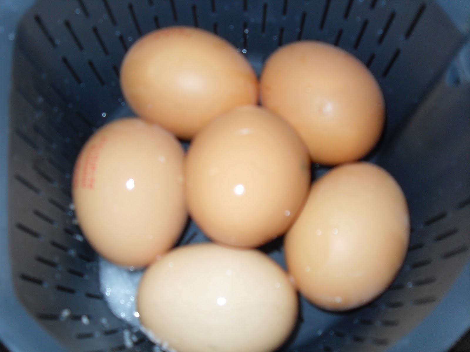 Como cocer huevos? - Huevos y quesos - Blog de MªGUADALUP CHINCOA BERMUDEZ  de Thermomix® Sevilla Florida