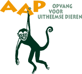 Stichting Aap