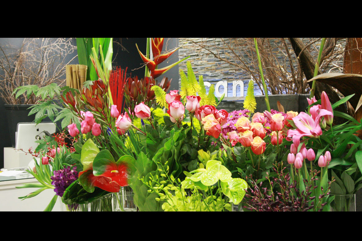 acanthus THE MOST BEAUTIFUL FLOWER SHOP IN ADELAIDE