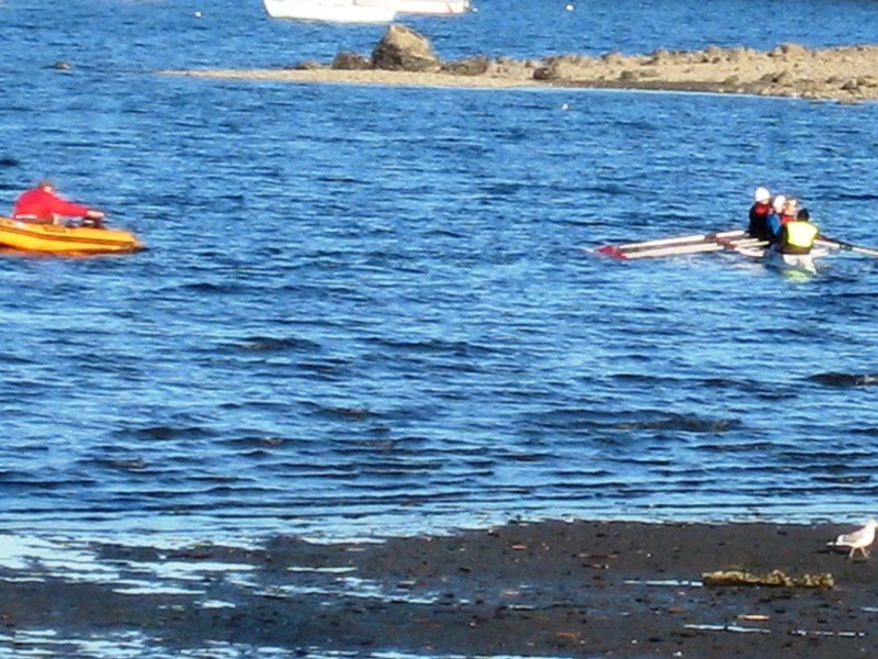 [rowers+3.jpg]