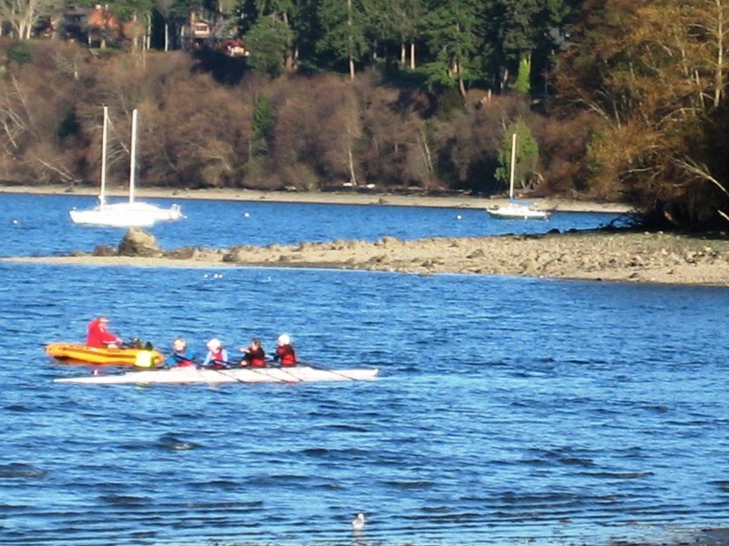 [rowers2.jpg]