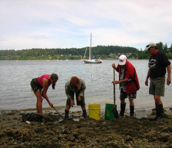 [everybodydignow.jpg]