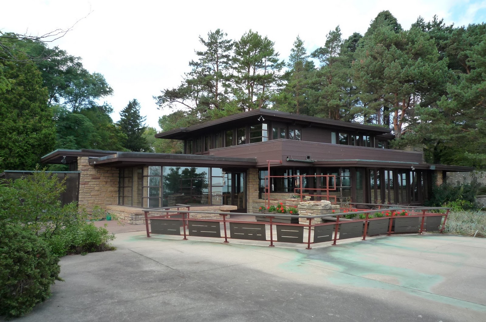 Women Neurosurgeons Heart and Hands Edgar Tafel and Me