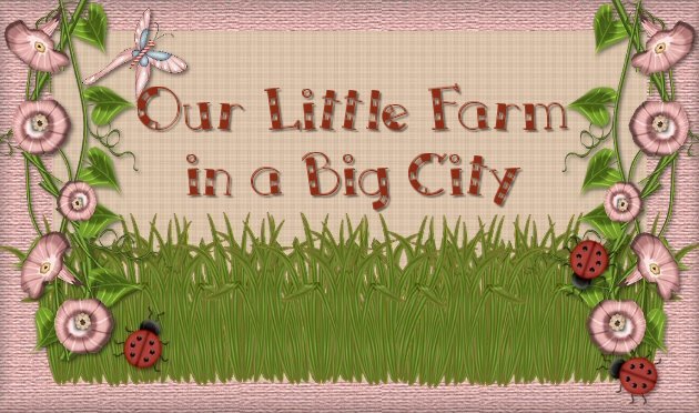 Our Little Farm in a Big City