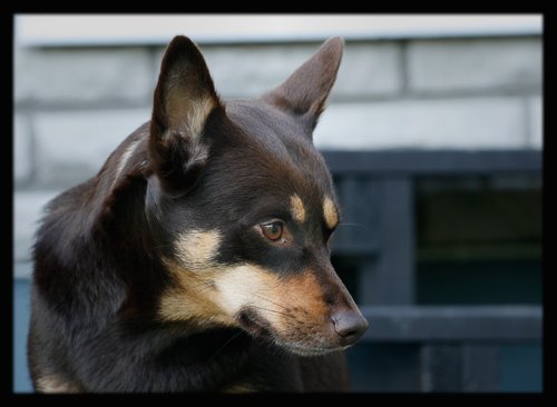 [20080923_ochra.jpg]