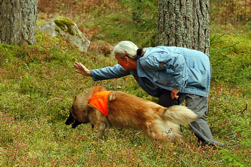 [20080921_Sitrus.jpg]