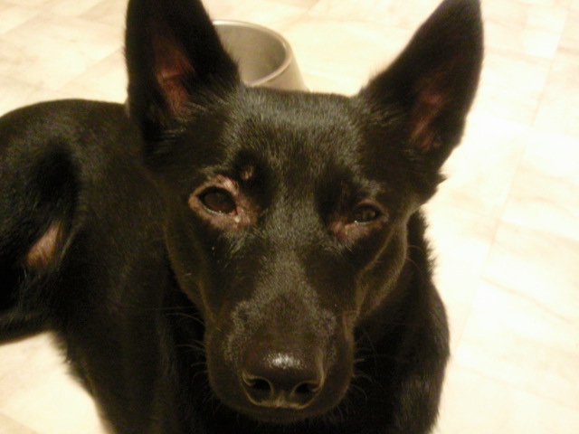 [Foto0047-746804.jpg]