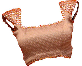 princess cut designer front and back saree blouse design